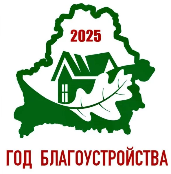 Год благоустройства