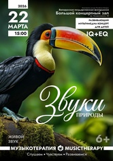 «Музыкотерапия для детей. Звуки природы»